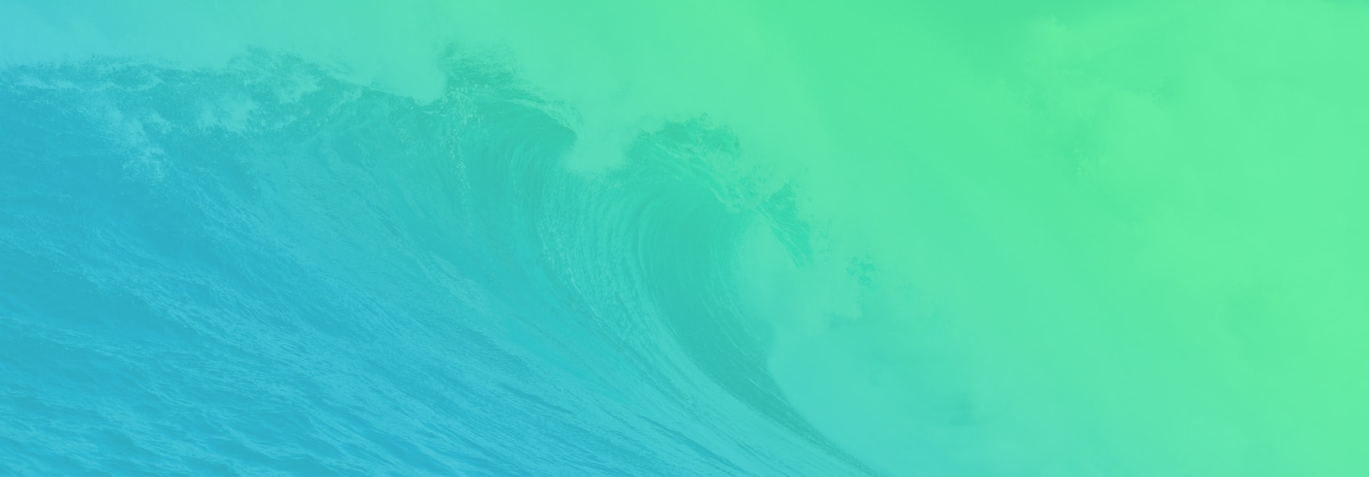 East Coast Building Biology Slider 2